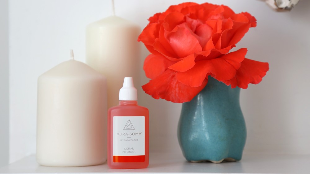 TAP INTO THE WISDOM OF CORAL